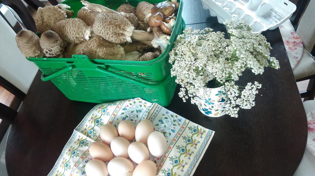 Agroturystyka Sominy Piotr Екстер'єр фото