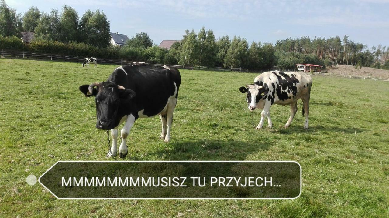 Agroturystyka Sominy Piotr Екстер'єр фото